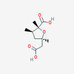 50906-95-1 structure