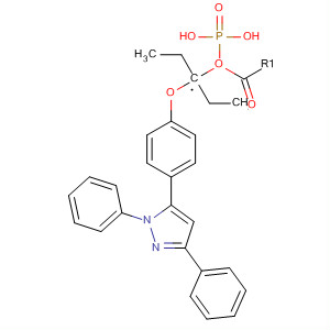 797763-28-1 structure